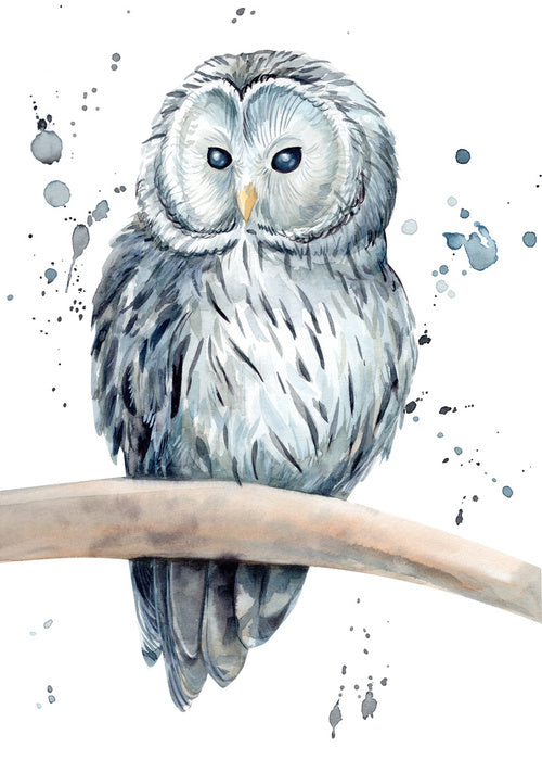 Snowy owl splash