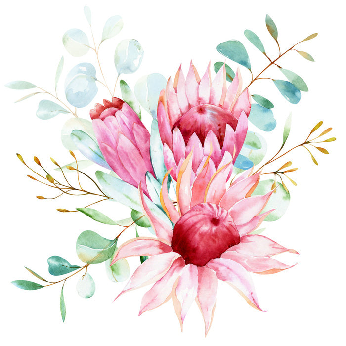 Protea petals I