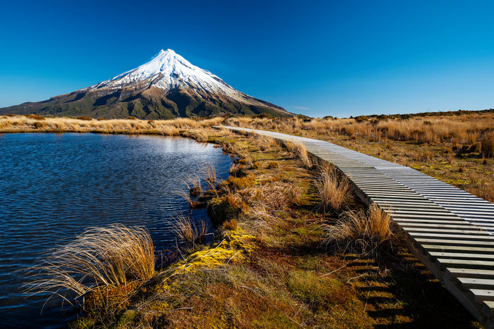 Track to Mt. Taranaki