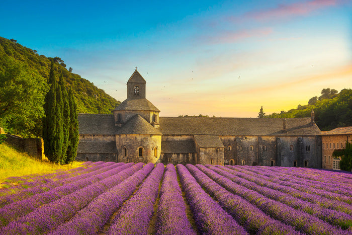 Abbey of Senanque