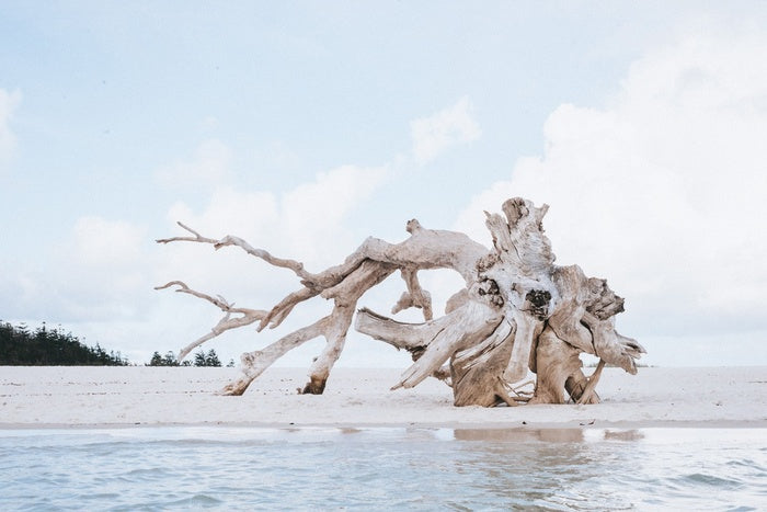 Forever on the beach