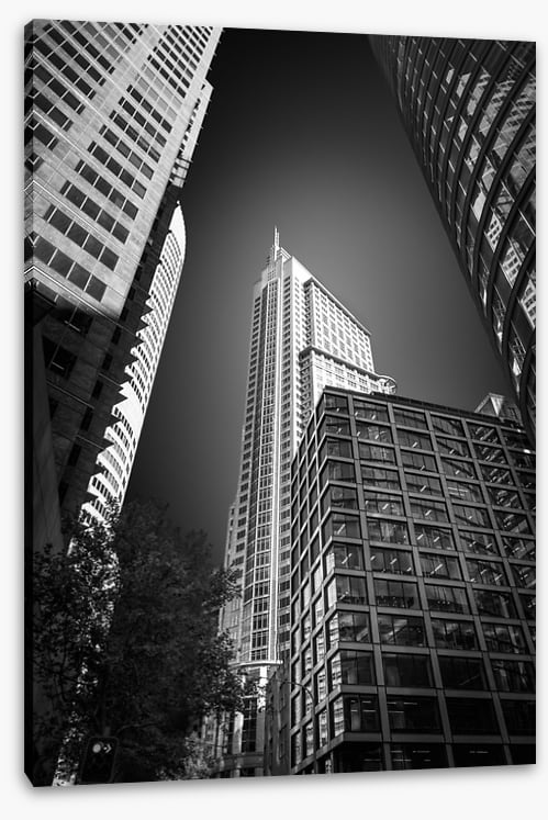 Sydney shadows 3