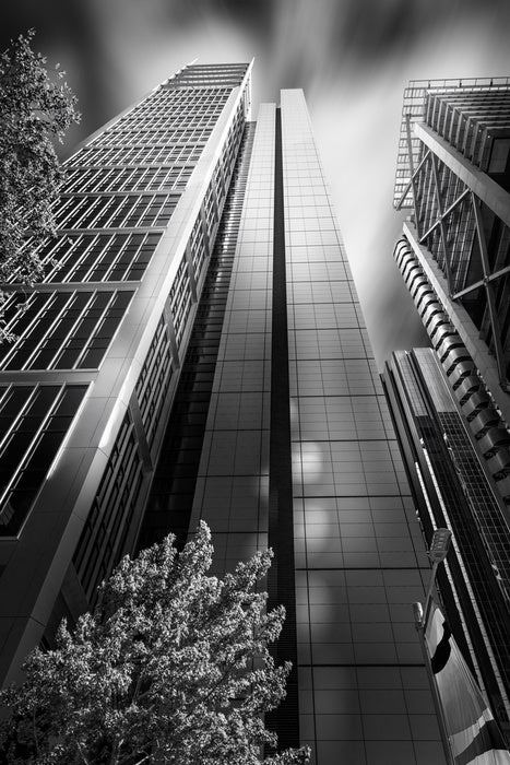 Sydney shadows 1