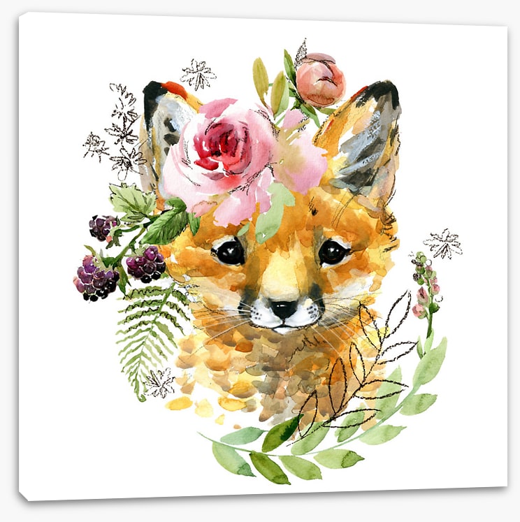 Rosy the fox