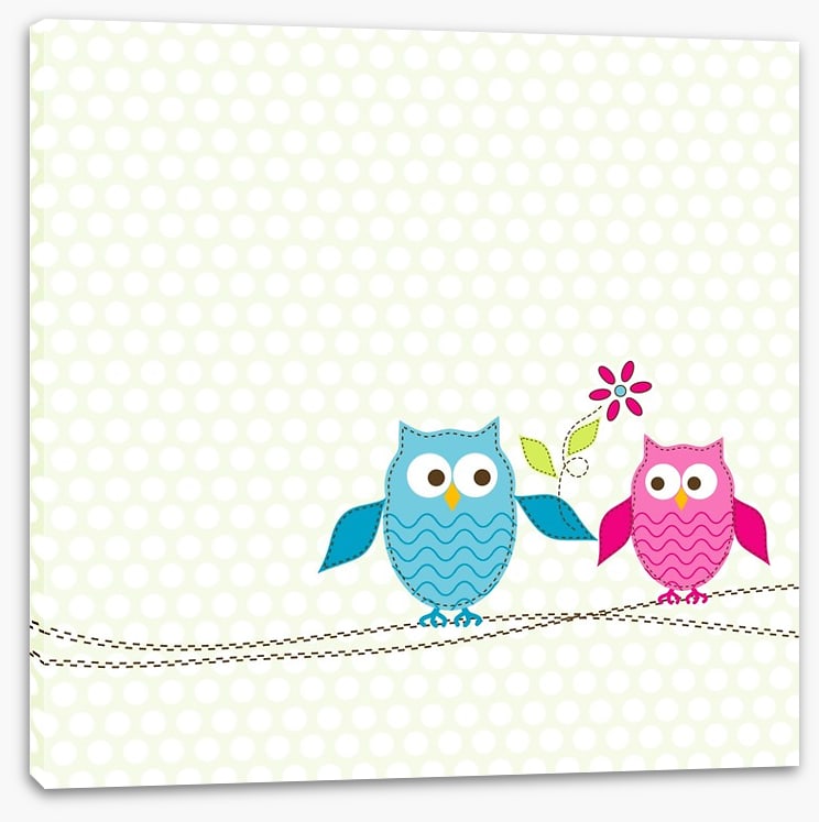 Pink owl in love