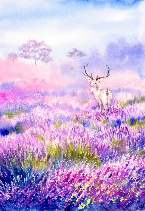 Among the lavender