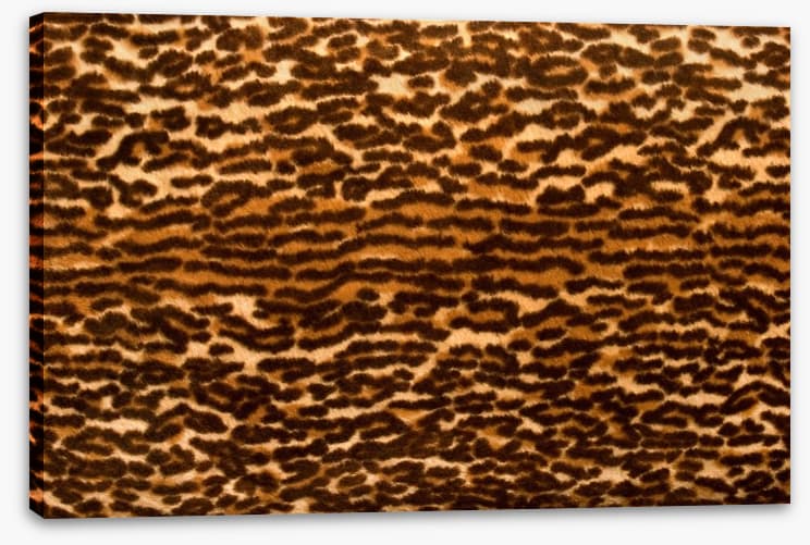 Animal Print
