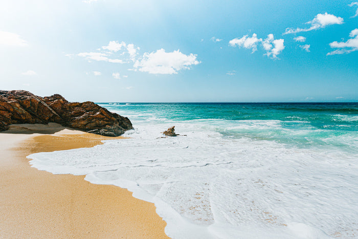 From sea to shore