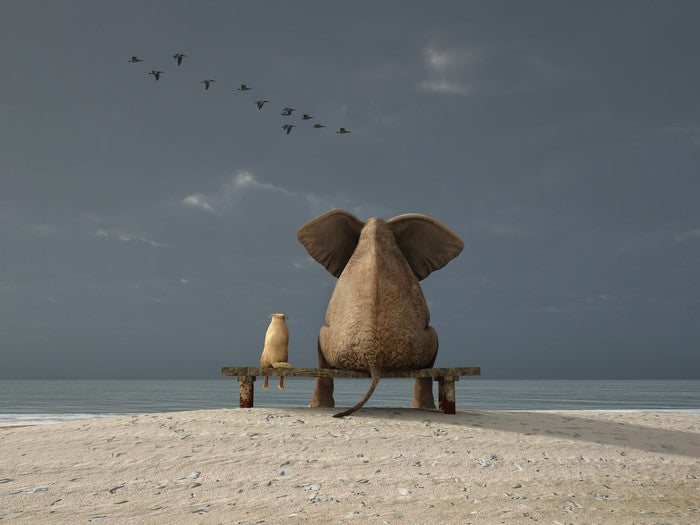 Together on the beach