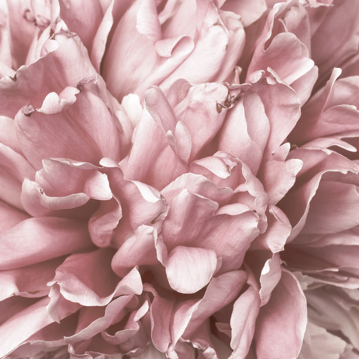 As fragile as love