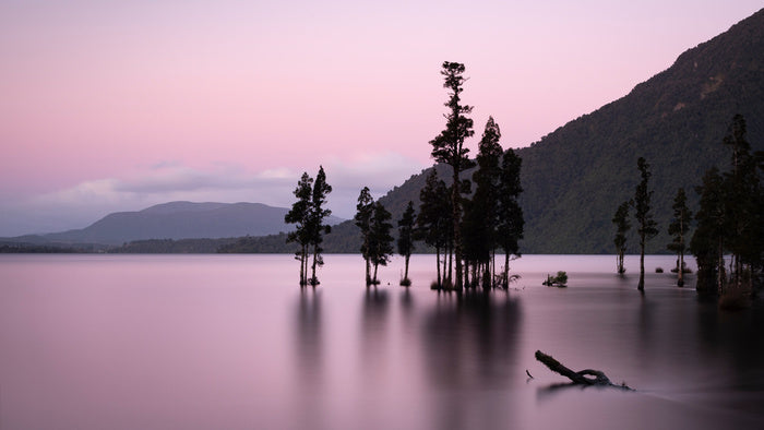 Lake Brunner blush
