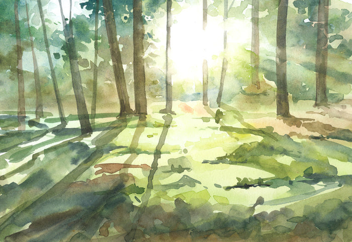 Forest of light I