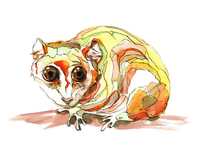 Pensive possum