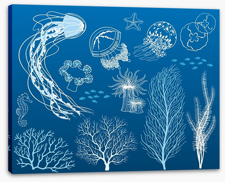 Dance of the jellyfish