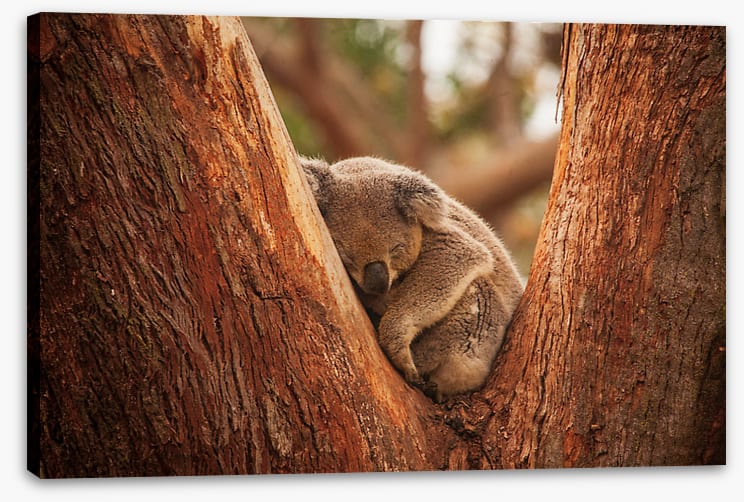 Snuggled in