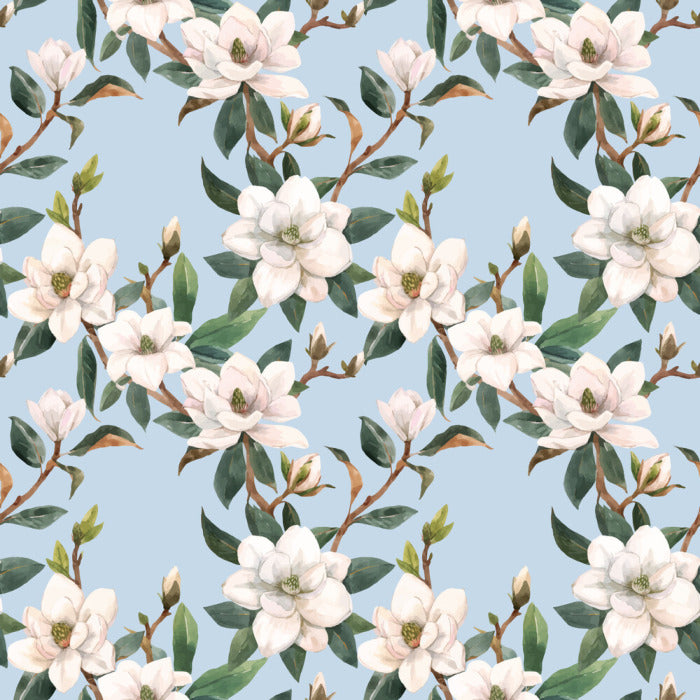Blue sky magnolia
