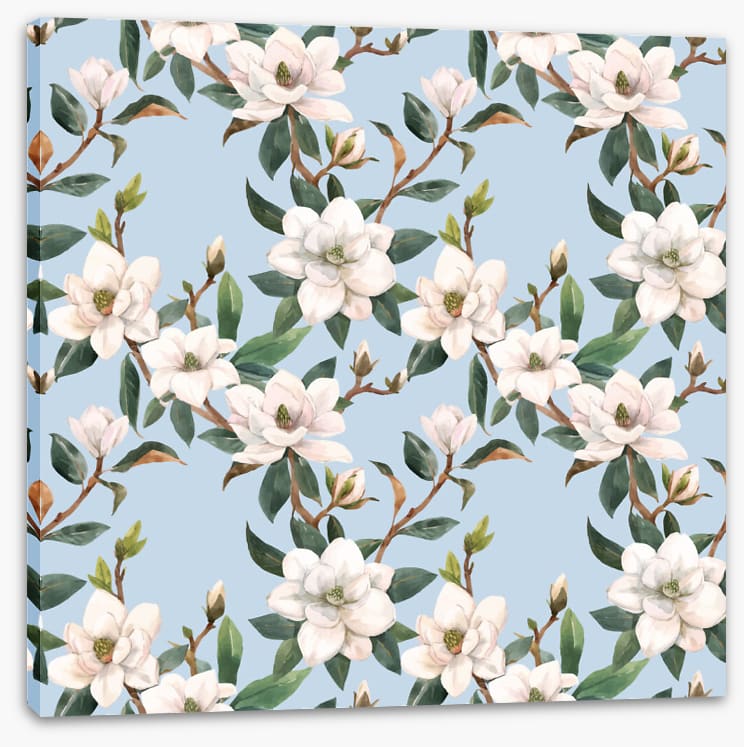 Blue sky magnolia