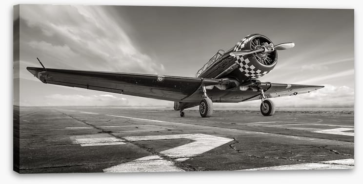 Warbird wings