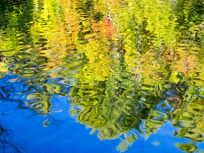 Reflections of fall