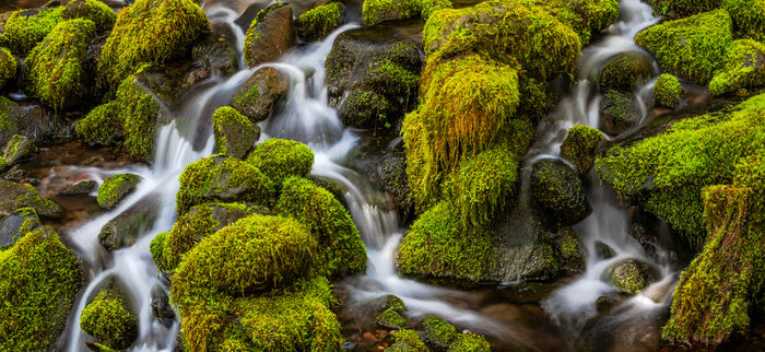 Waterfalls