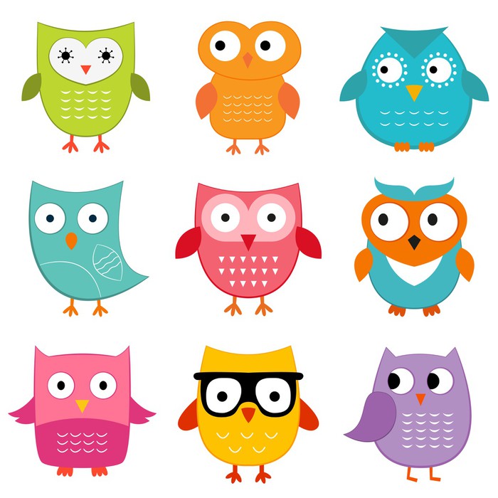 Owls