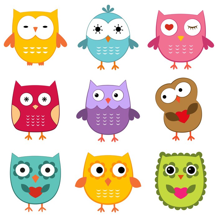 Owls