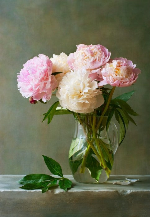 Fresh cut flowers