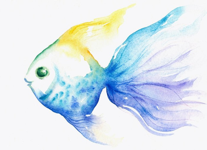 The smiling fish