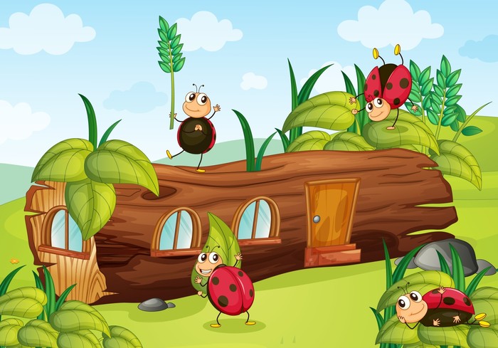 The ladybug log
