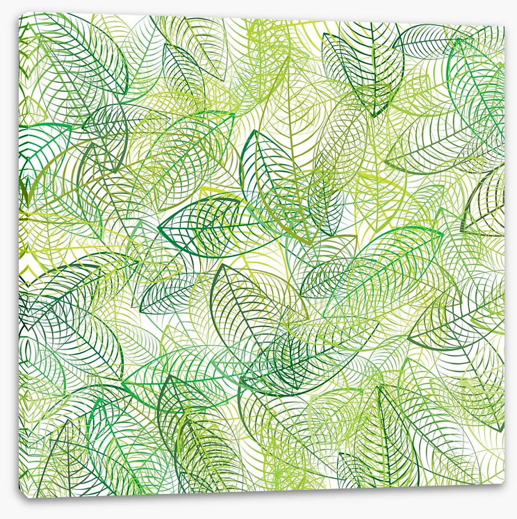 Summer leaves