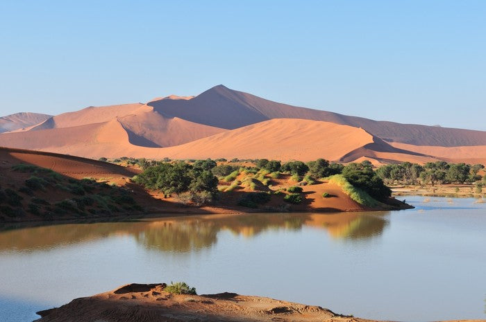 Desert