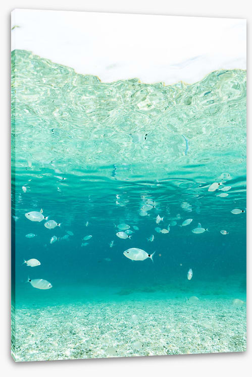 Underwater