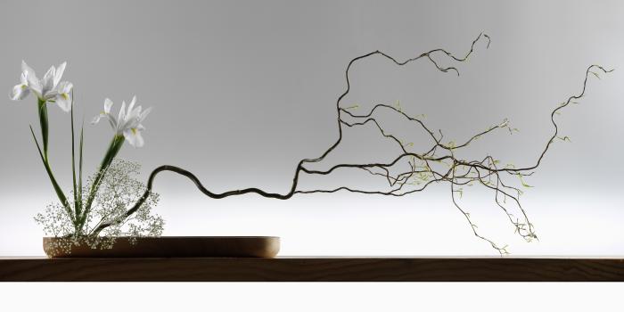 Ikebana