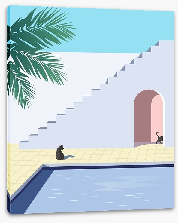 Black cat pool