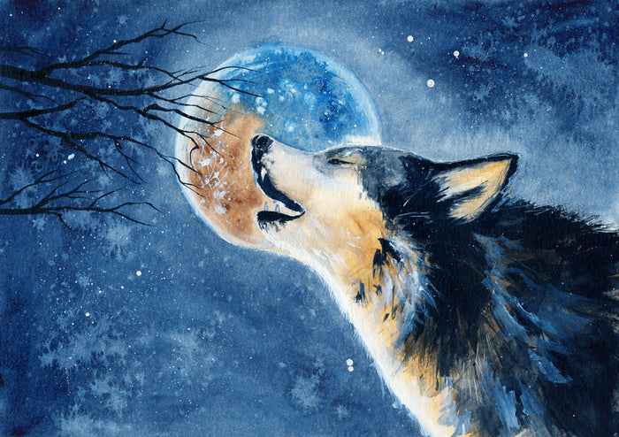 Howling wilderness