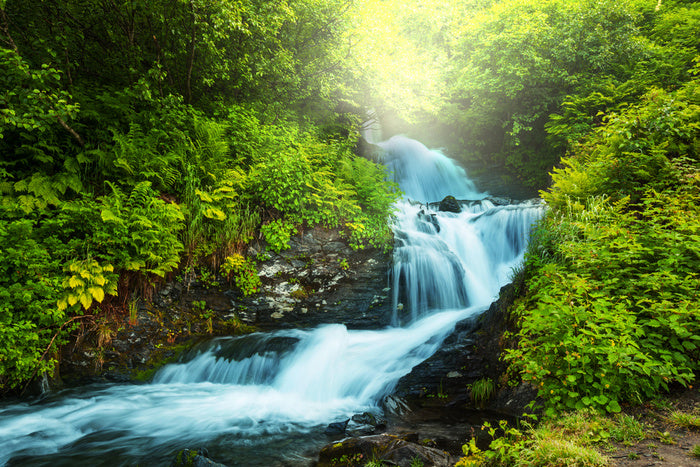 Rivers