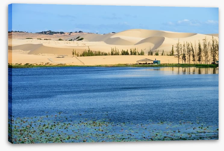 Desert