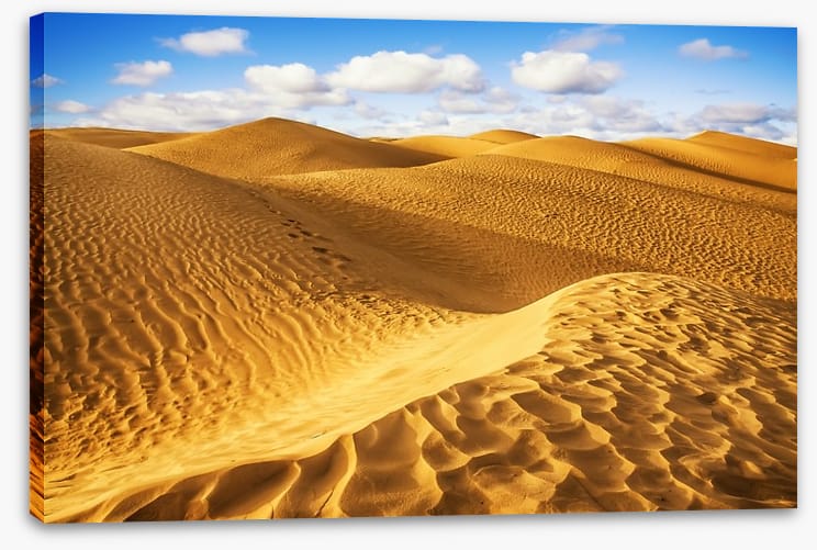 Desert