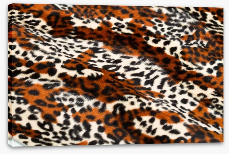 Animal Print