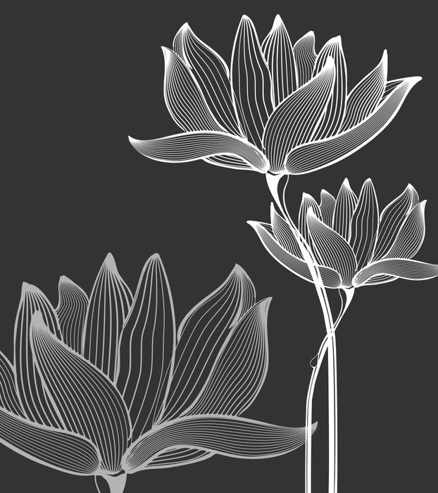 Lotus on black