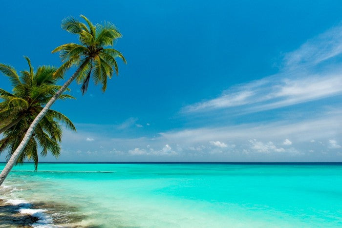 Paradise lagoon