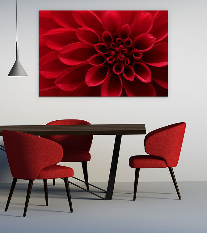 Red dahlia delight