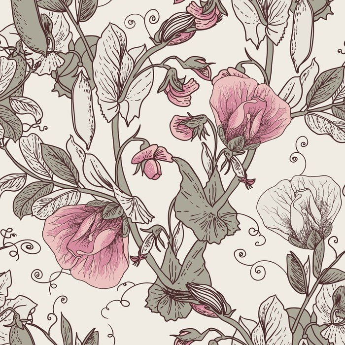 Pink pea petals