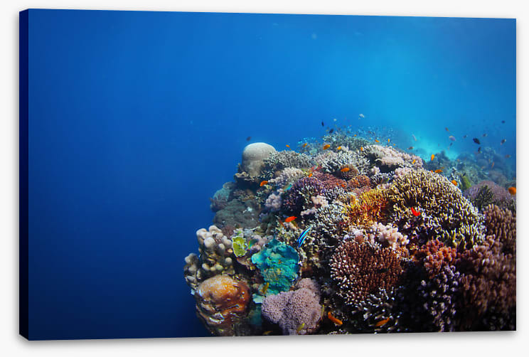 Underwater