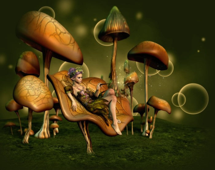 Fantasy