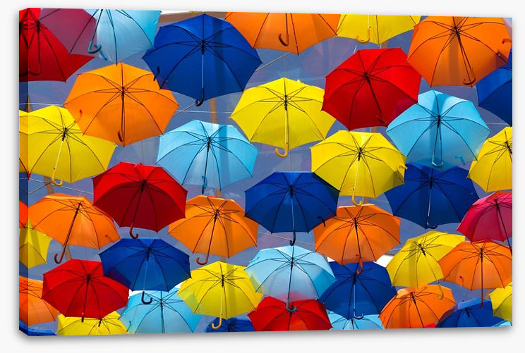 The festival of umbrellas