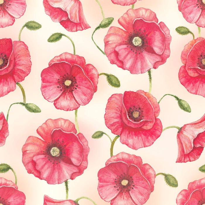 Poppy flowers