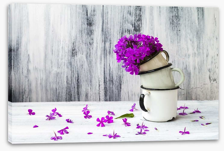 Still Life