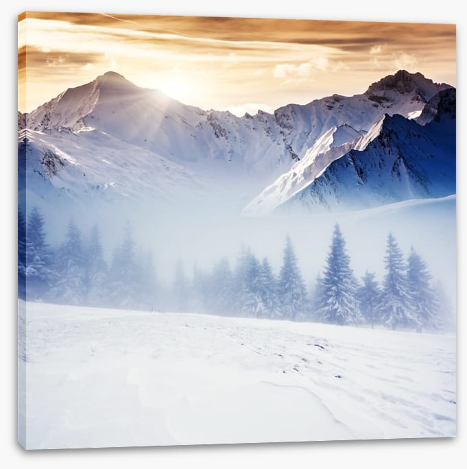 Winter in the mountains