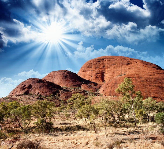 Under the shimmering sun